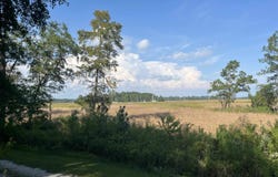 Warham Dr., Georgetown, SC 29440