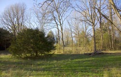 11925 OLD JACKSON Rd, Somerville, TN 38068