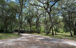 1587 NE 930th St, Old Town, FL 32680