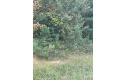 Panther Falls lot: 65, Wilder, TN 38589