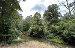 6642 Grange Hall Road, Osyka, MS 39657