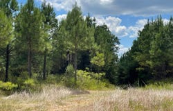 Chapel Hill Rd., Grenada, MS 38901