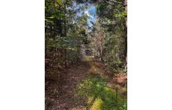 230 Dodgen Road, Hampton, GA 30228