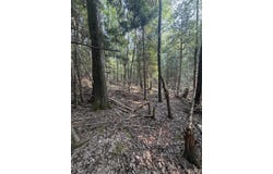 TBD5 Bayshore Road, L'Anse, MI 49946