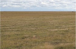 HWY 94, Rush, CO 80833