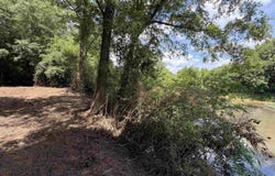 COUNTY ROAD 509 lot: 1, WOODLAND, AL 36280