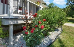 102 Cherry Street, Toccoa, GA 30577
