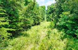 2 Ditney Hill Rd, Drakesboro, KY 42337