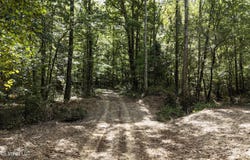 Johns Shiloh Road, Brandon, MS 39042