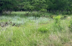 3040 Cutter Circle, May, TX 76857