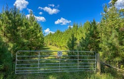 0 Co Rd 61, Pine Apple, AL 36768