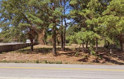 CR 474, Lindale, TX 75771