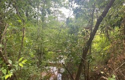 Bear Fork Road, Mobile, AL 36618