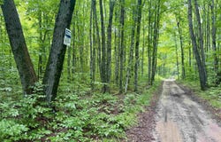 4989 State Road, Lake Ann, MI 49650