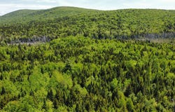 Morrison Brook Acres lot: 10, Oakfield, ME 04763