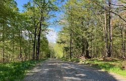 Bill T Drive, Readsboro, VT 05350