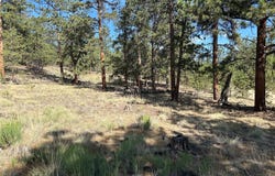 565 Hayhook Way, Hartsel, CO 80449