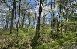 895 Dresden Drive, Perry Twp, OH 45118