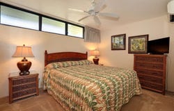 3543 Lower Honoapiilani Rd, Lahaina, HI 96761