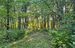 Dell Rd, Finlayson, MN 55735