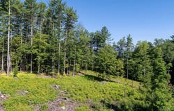 Pleasant Valley Road, Brattleboro, VT 05301