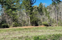 540 CR 2830, Wells, TX 76055