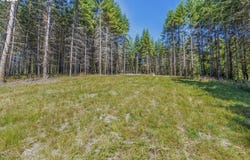 Old Tree Farm Dr, Longview, WA 98632