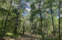 NC 2909 lot: 0, Marble Falls, AR 72648