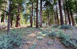 848 Startop, Clio, CA 96122