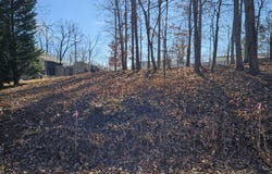 Lot 59 Macgregor DR, Blue Ridge, VA 24064