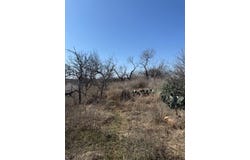 Hale St, Llano, TX 78643