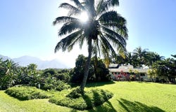 5339 HONOIKI RD, Princeville, HI 96722
