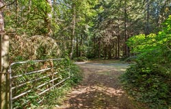 SE 476TH Ave, Sandy, OR 97055