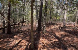 BUCCANEER BLVD lot: 1897, GREENBACKVILLE, VA 23356