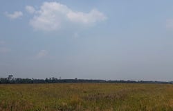 Moore Road Tract 9, Naylor, GA 31641