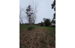 RESI 93J LEKITES lot: 3, CHINCOTEAGUE, VA 23336