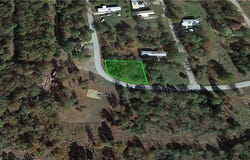 Ben Nevis, Briarcliff, AR 72653
