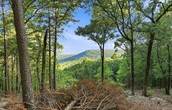 Overlook Trail, Moyers, OK 74557