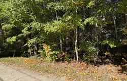 36 Mountain View Drive, Acton, ME 04001