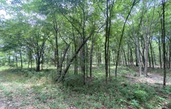 150 CR 3920, Mt Pleasant, TX 75455