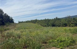 Williams Ridge Drive, Dover, AR 72837