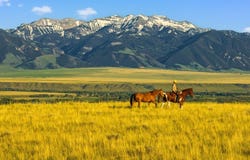 5545 US 287 Highway, McAllister, MT 59740