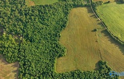 40acres County Road 668, Henagar, AL 35978