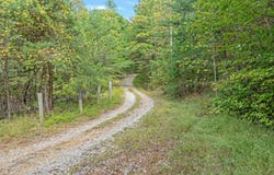 Palmer Firetower Road, Whitwell, TN 37397