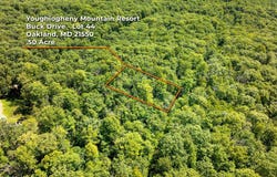 GREY SQUIRREL Road, OAKLAND, MD 21550