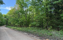 Tract 2 Carter 327, Ellsinore, MO 63937