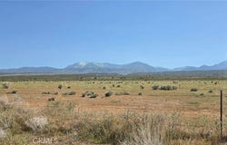 175th St E W14, Llano, CA 93591