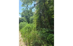 23646 CR 4154, Orange, TX 77632