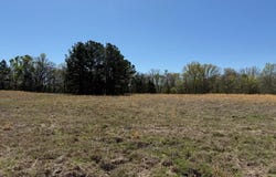 County Road 4310, Avery, TX 75554