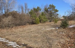 KNOKE Street, GRESHAM, WI 54128
